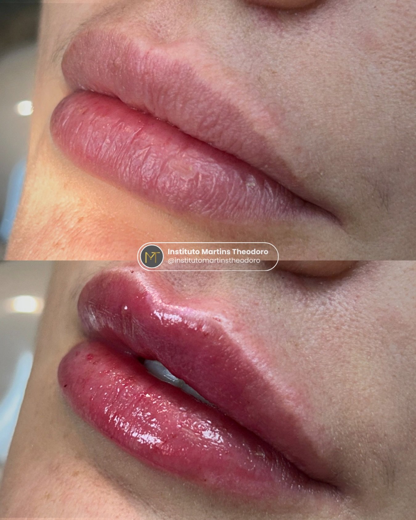 institutomartinstheodoro_1742591172_3593437664537075537_57689386218